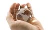 globe